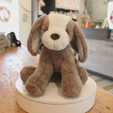 Sweet Floppy Mutt - Toffee