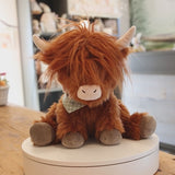 Hamish the Highland Cow