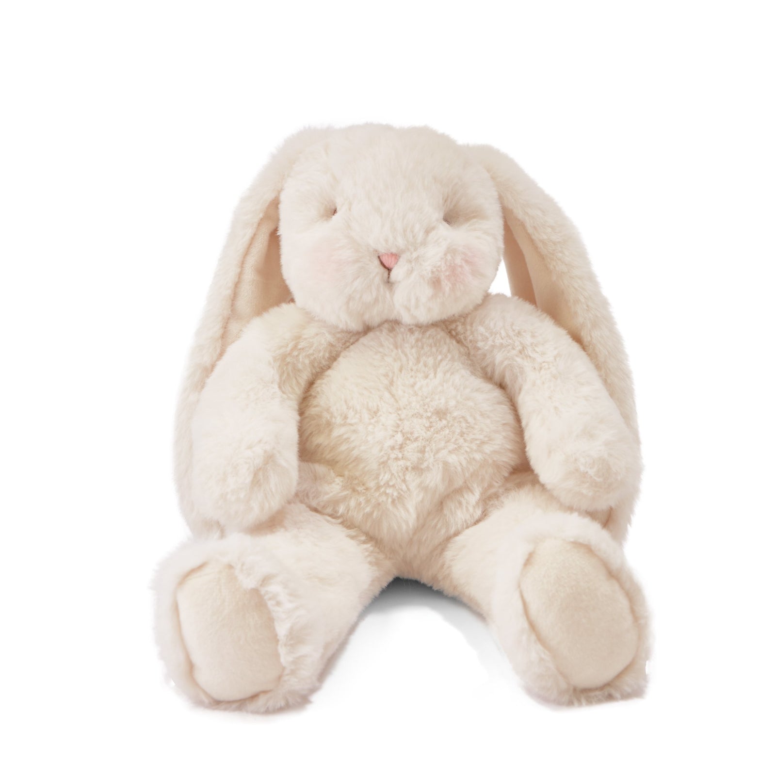 101047_Floppy-Nibble-