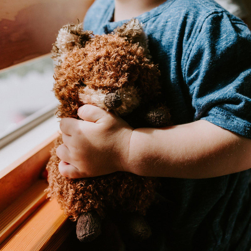7 Reasons Adults Should Have Stuffed Animals Too
