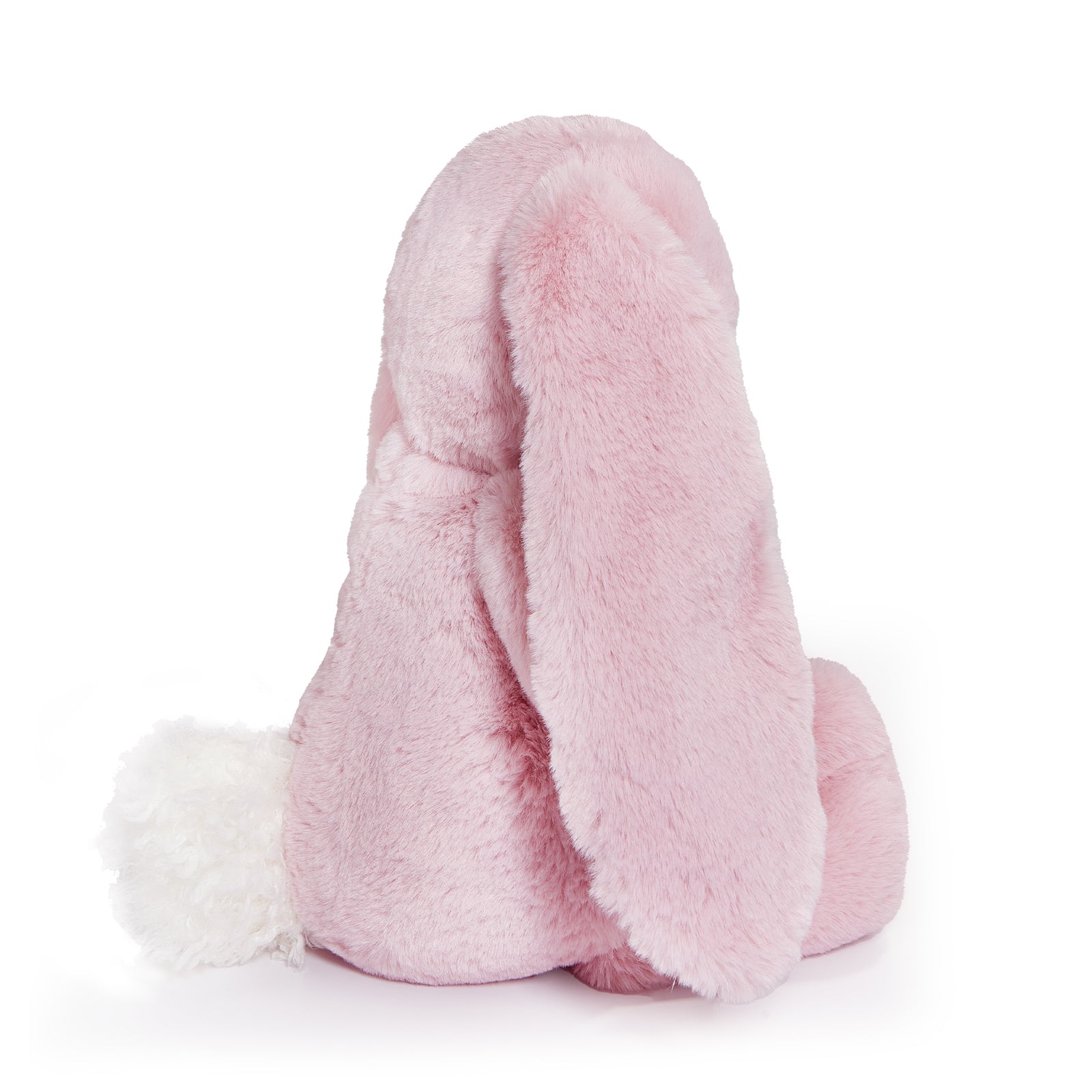 104397-Sweet-Nibble-Coral-