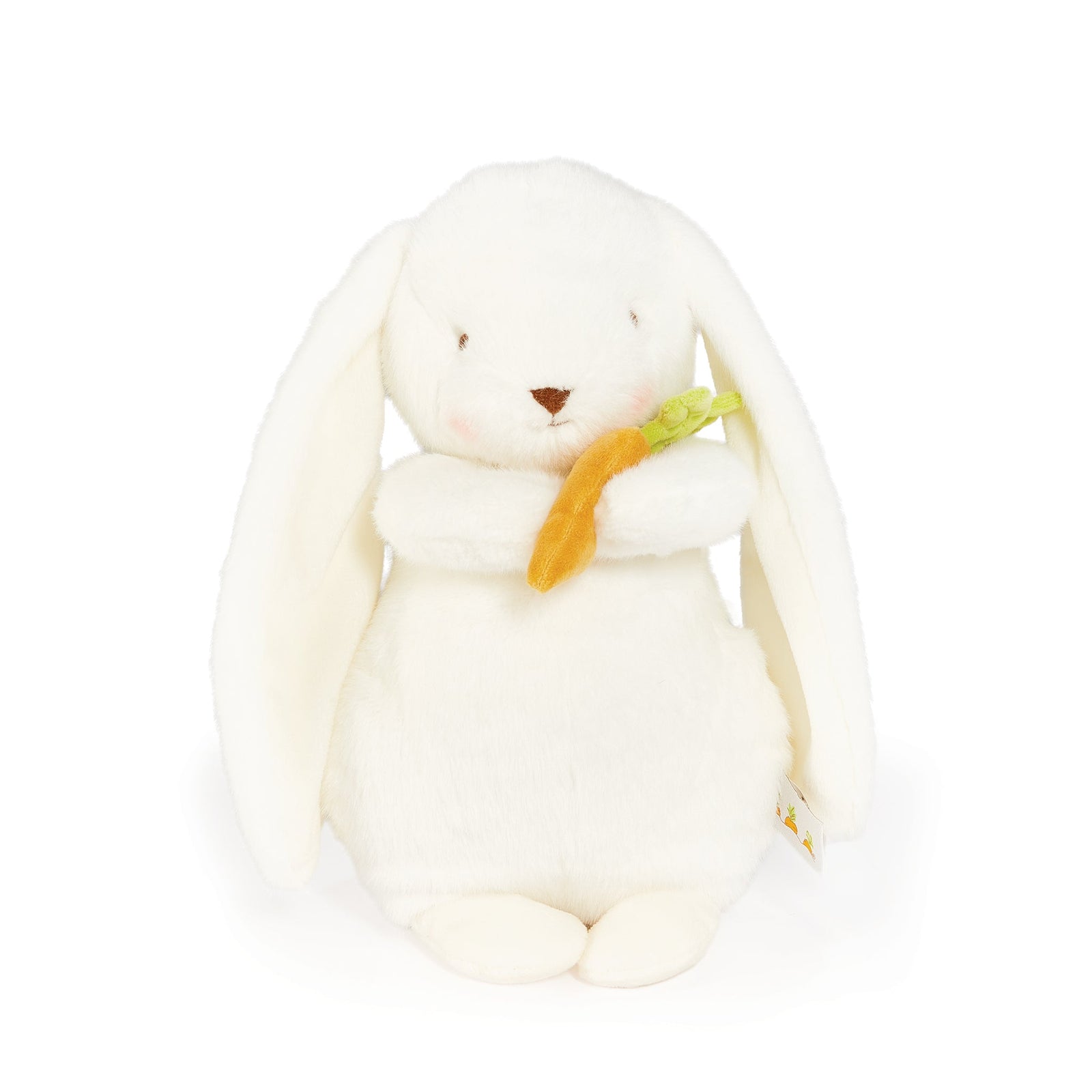 190057-Year-of-the-Rabbit-