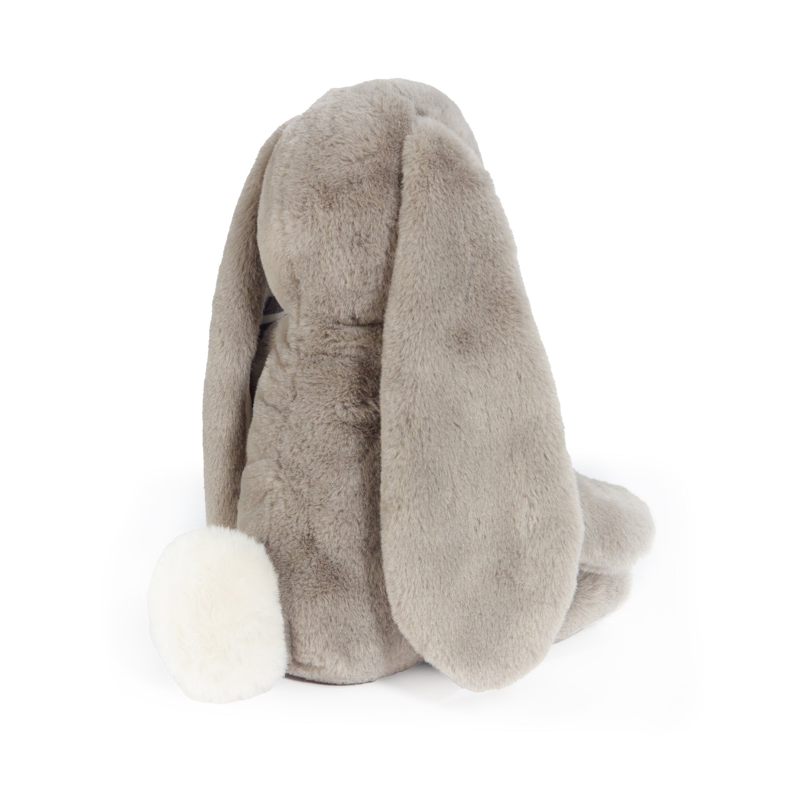 FAO-Sweet-Nibble-Back_1600x.