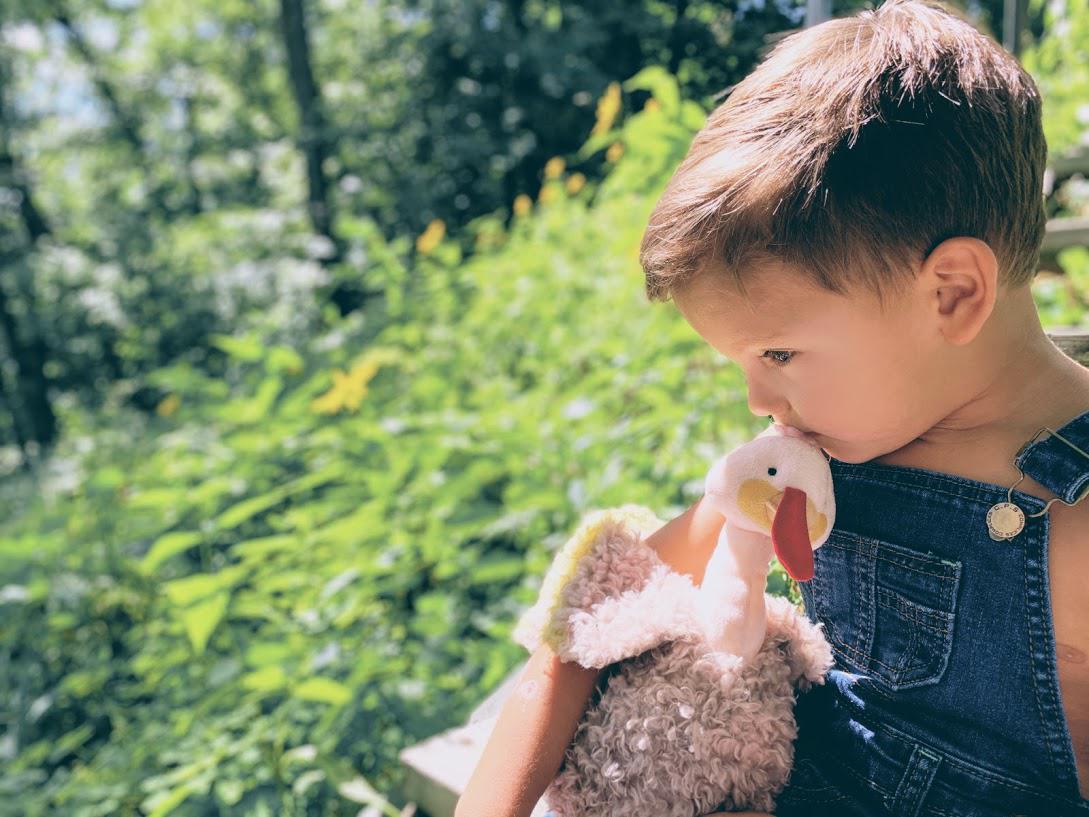 Gracious Gobbler Book and Plush Bundle Stuffed Animal Children’s