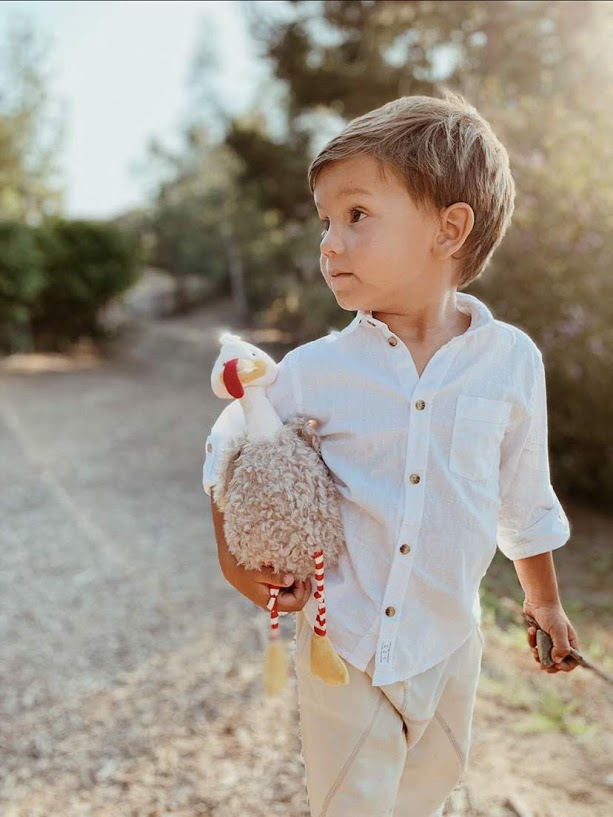 Gracious Gobbler Book and Plush Bundle Stuffed Animal Children’s