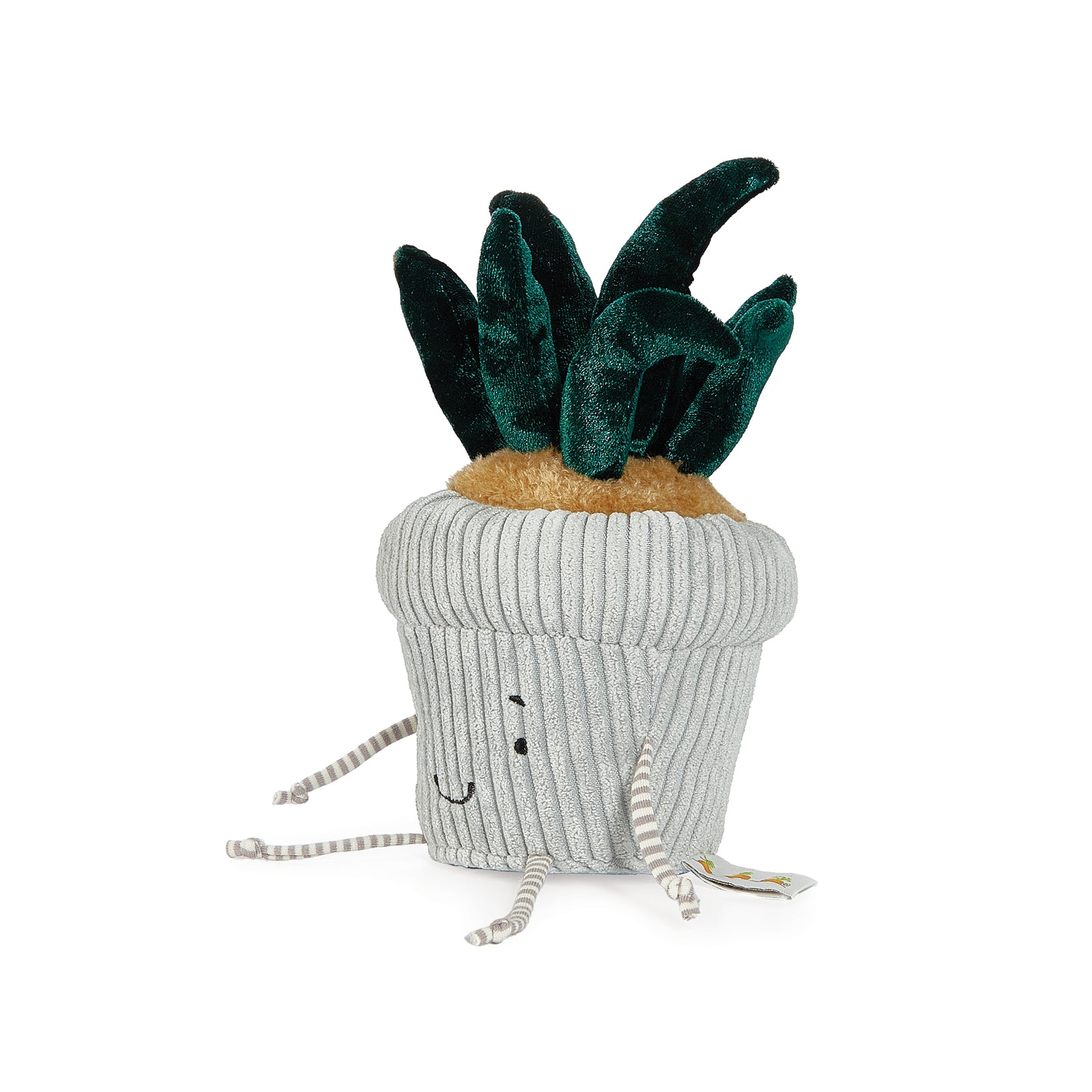 amuseable snake plant Plush Snake Plant