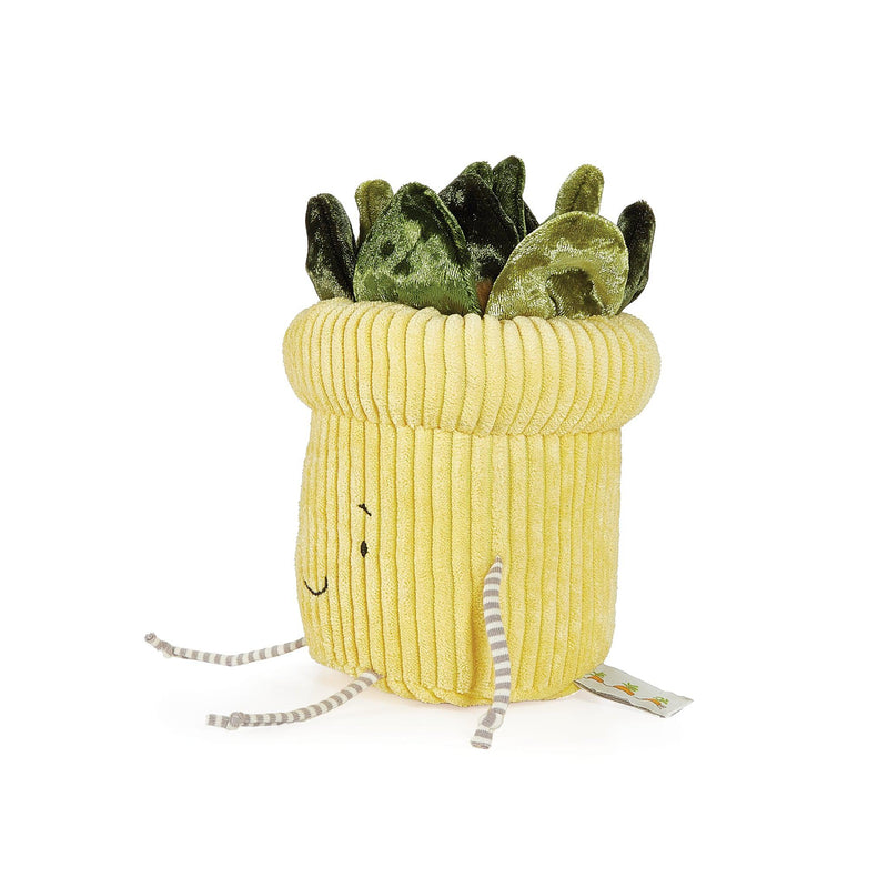 sunny succulents plush Succulent Plant Windowsill Plush