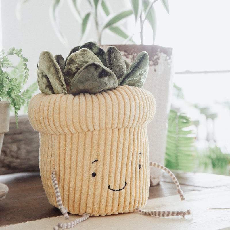 jellycat silly succulent jade Succulent Plant Windowsill Plush