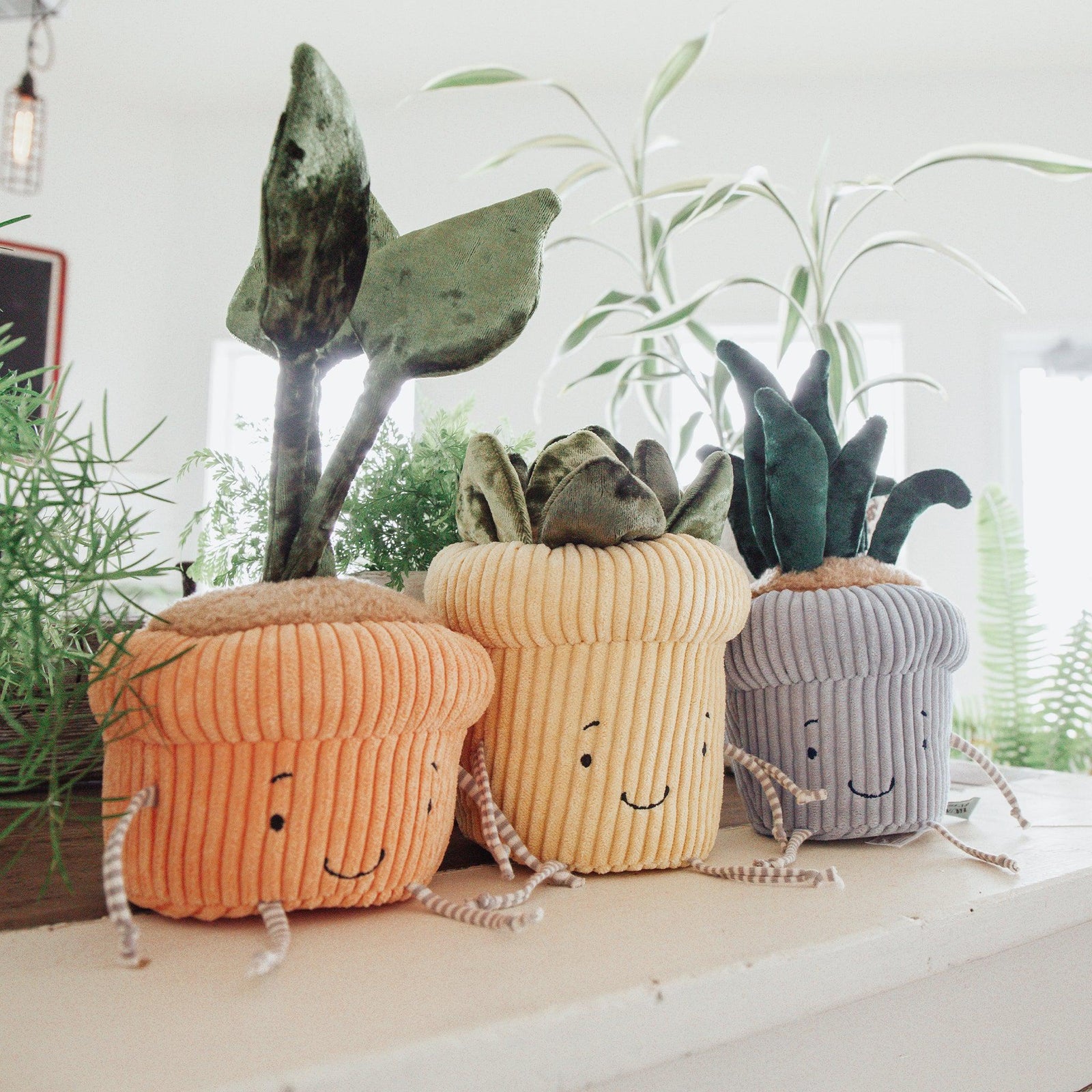 succulent plush Succulent Plant Windowsill Plush